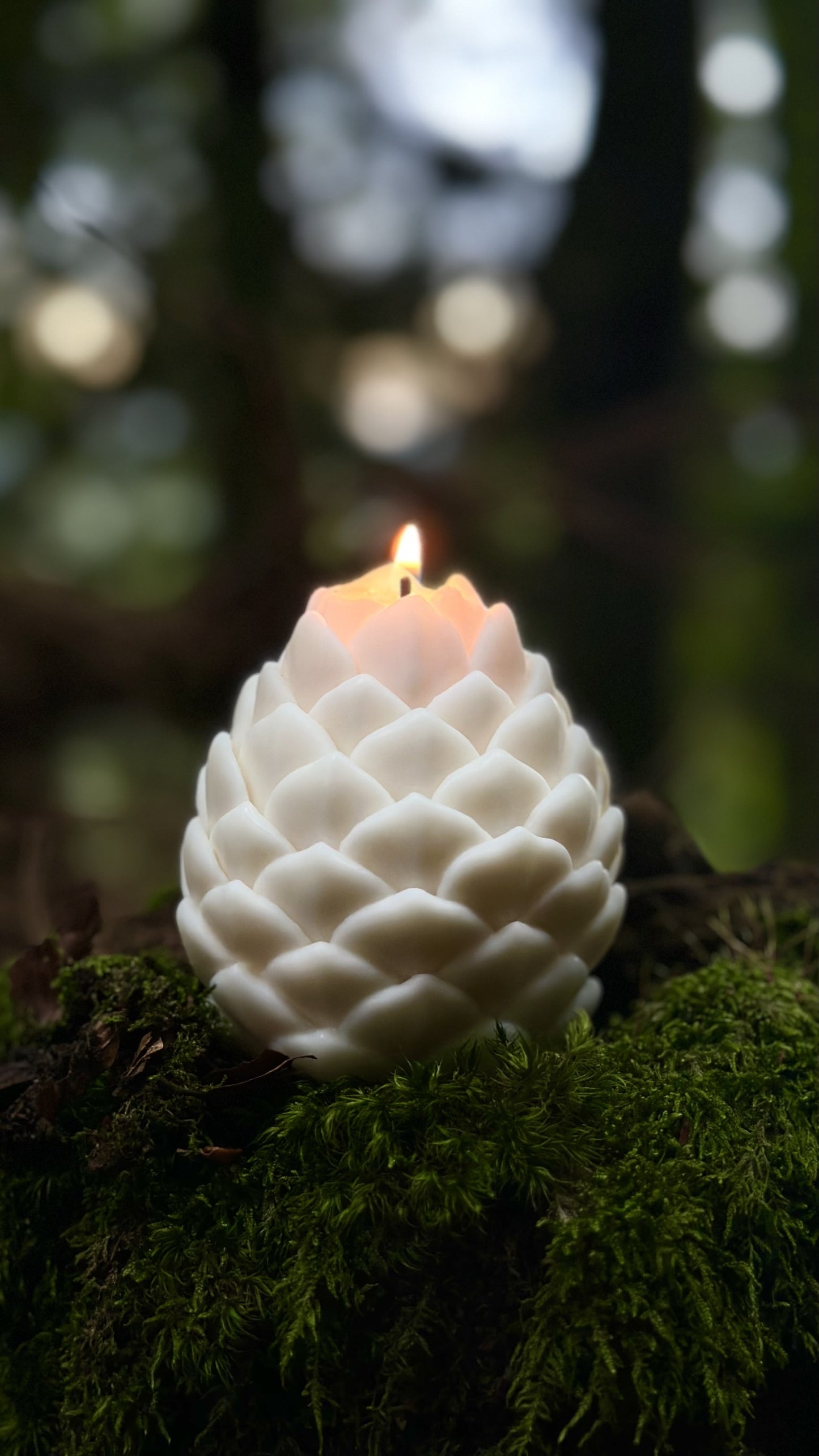 PINE CONES candle